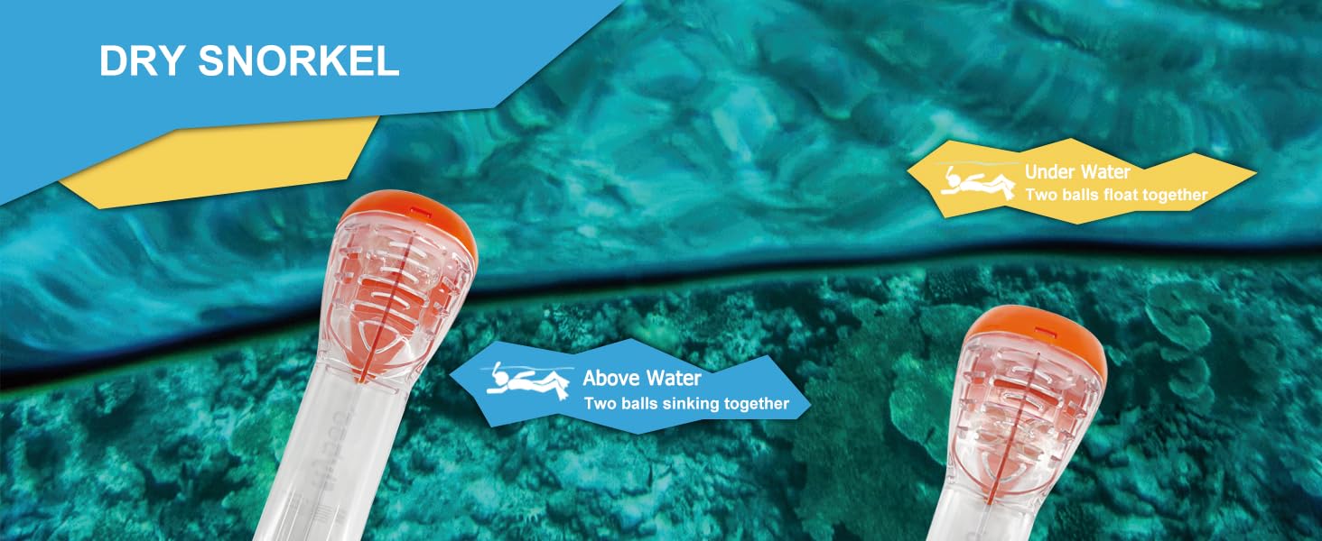 Snorkel Mask