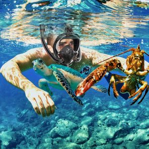 Full cover snorkeling mask, 180 degree panoramic HD snorkeling mask, adult male and female leak proof dry top set