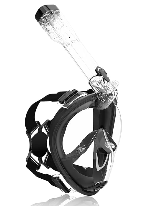 snorkel mask