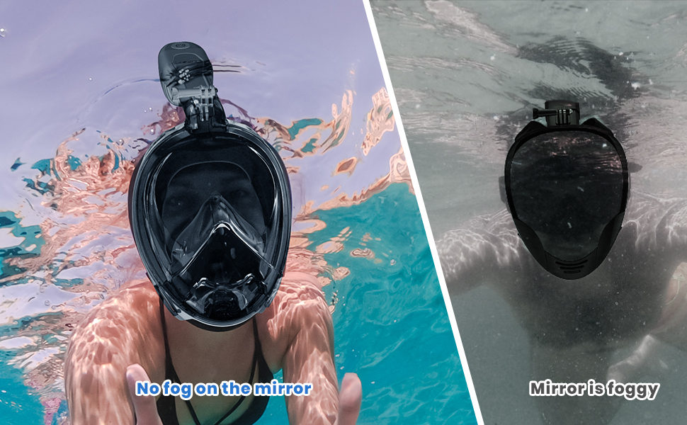 Snorkel Mask