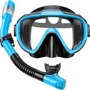 Snorkel Set Adults Snorkeling Gear Anti-Fog Panoramic View Swim Mask Dry Top Snorkel Kit with Carry Bag for Snorkeling Scuba Diving Swimming Travel