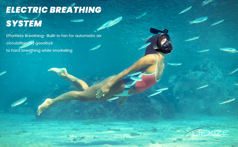 Snorkel Mask