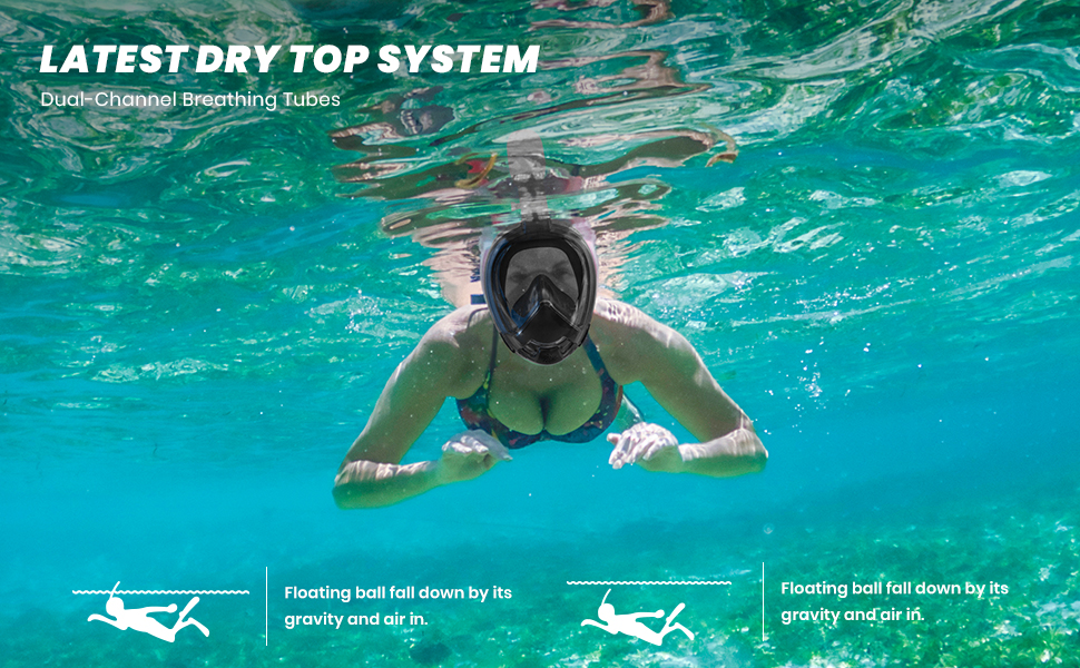 Snorkel Mask
