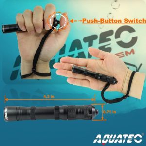 Scuba Diving Light Headlamp Underwater 150M Backup, Dive Flashlight 200 Lumens with Push-Button Switch, Stainless Steel Mask Strap Clip, Lanyard, Made in Taiwan