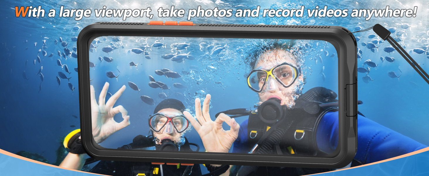 large viewport capture pixel-perfect pictures