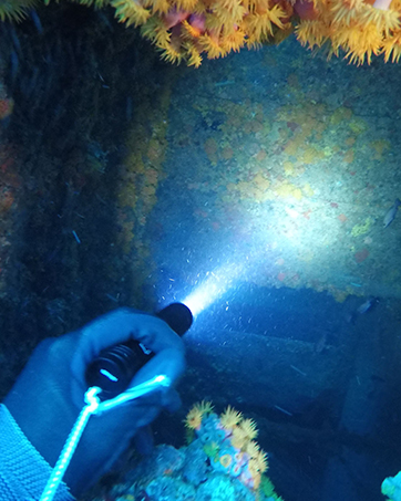 Odepro WD12 compact bright dive light